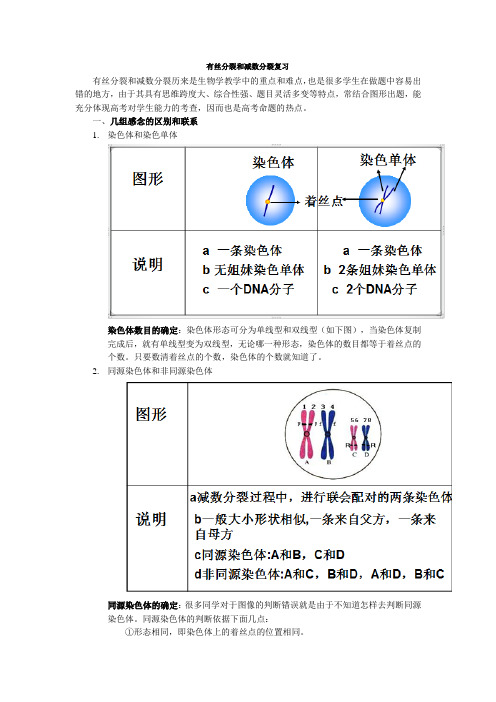 有丝分裂和减数分裂的专题复习教案