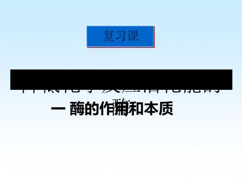 高考生物一轮复习课件：酶的作用和本质 PPT课件 人教课标版