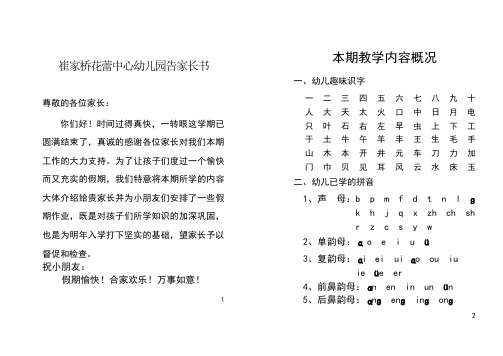 幼小衔接花蕾中心幼儿园大班寒假作业练习题