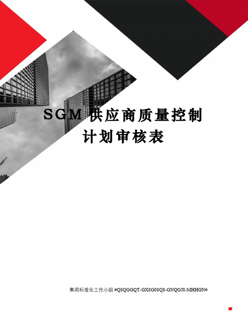 SGM供应商质量控制计划审核表