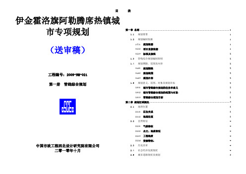 管线综合专项规划说明书.