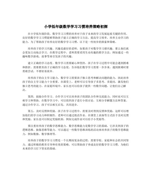 小学低年级数学学习习惯培养策略初探