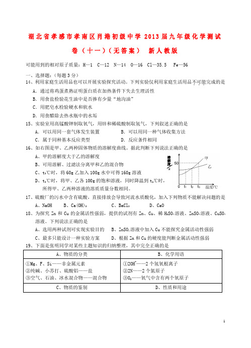 湖北省孝感市孝南区肖港初级中学九年级化学测试卷(十一)(无答案) 新人教版