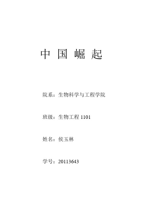 中国崛起1