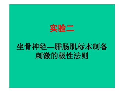 实验二 坐骨神经—腓肠肌标本制备 刺激的极性法则