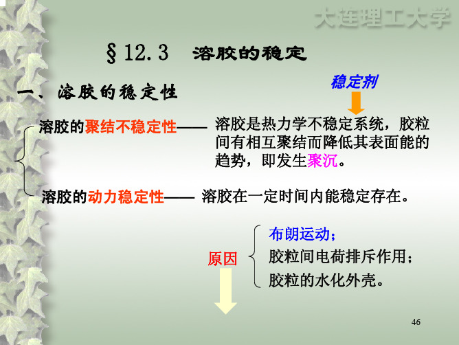 物理化学 胶体2