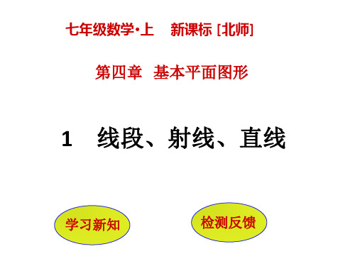 七年级上册数学第四章基本平面图形课件