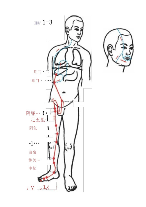 十二经络高清图(包含经络穴位)