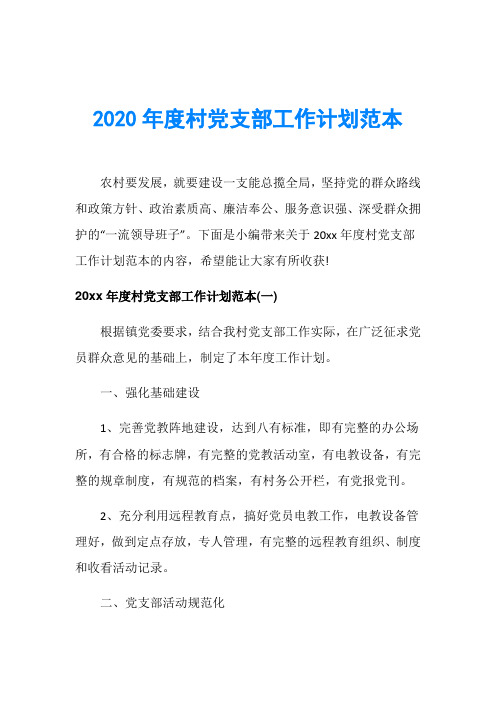 2020年度村党支部工作计划范本