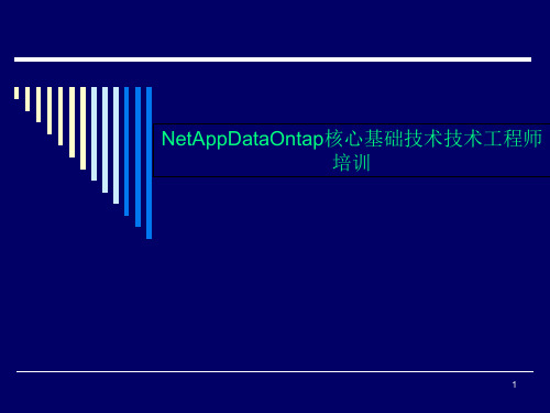 NetAppDataOntap核心基础技术技术工程师培训