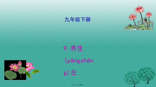 吉林省长市九年级语文下册6养生主课件长版