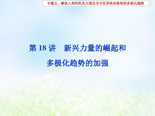 2020版高考历史大一轮复习第18讲新兴力量的崛起和多极化趋势的加强PPT课件人民版