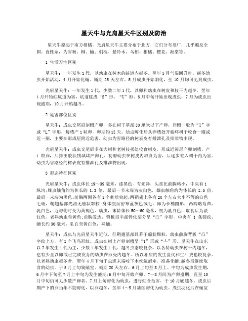 星天牛与光肩星天牛区别及防治