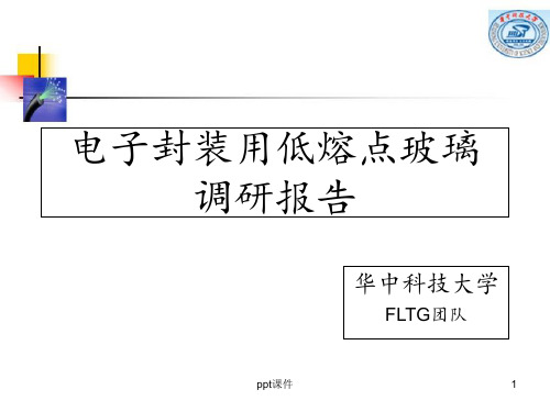 电子封装用低熔点玻璃调研报告  ppt课件