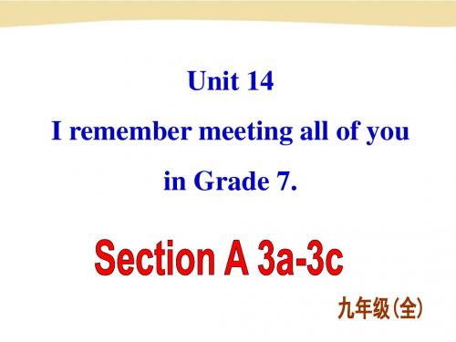 新目标九年级unit14 section a 3a-3c课件(共22张ppt)