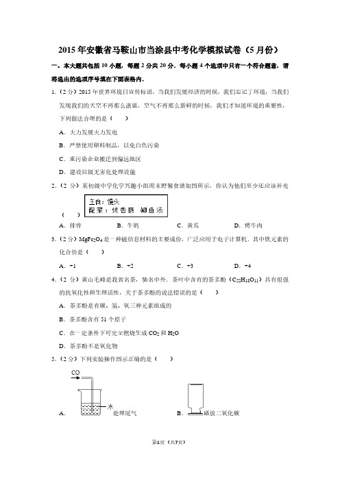 2015年安徽省马鞍山市当涂县中考化学模拟试卷(5月份)