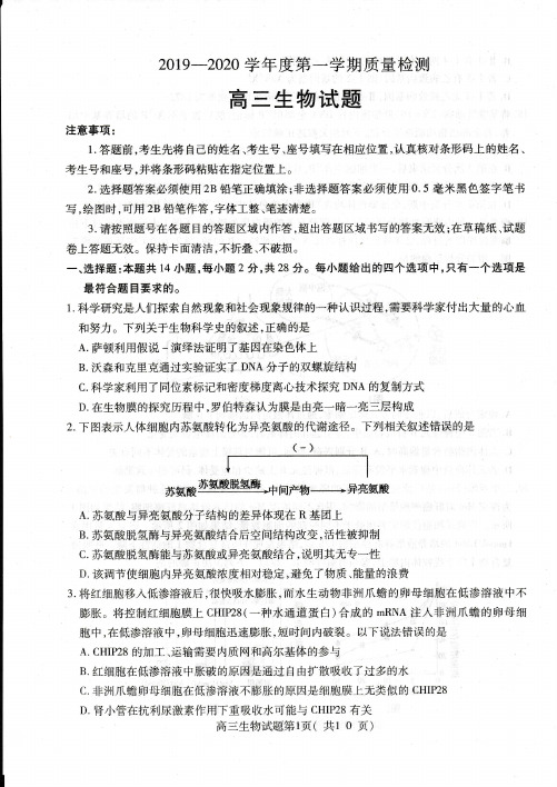 山东省济宁市2019-2020学年高三上学期期末考试生物试题及答案