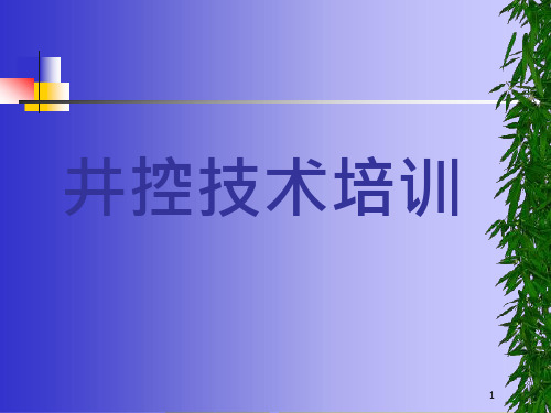 井控技术之井控管汇专题培训ppt课件