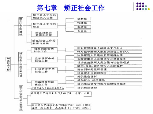 矫正社会工作PPT精选文档