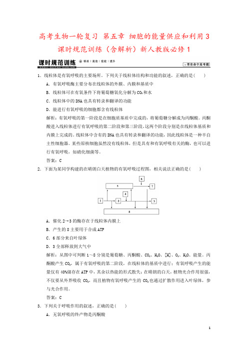 高考生物一轮复习 第五章 细胞的能量供应和利用3课时规范训练(含解析)新人教版必修1