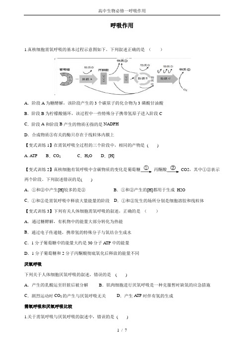 高中生物必修一呼吸作用