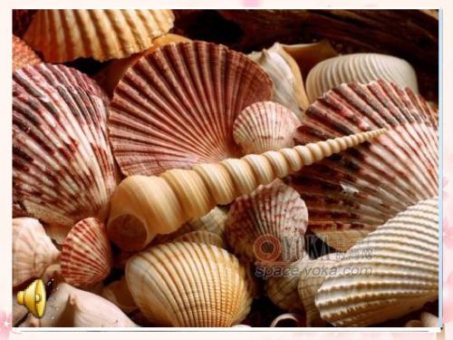 初中英语八年级下册《Unit6 How long have you been collecting shellsSection B》资料