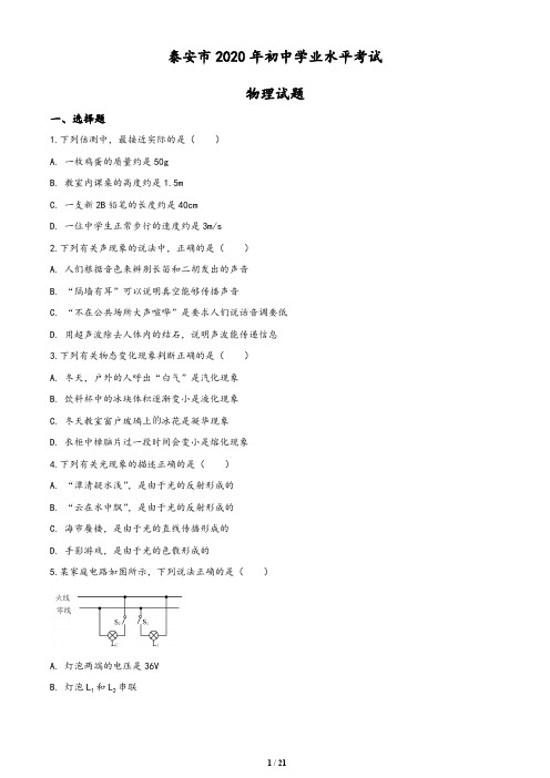 2020年山东省泰安市中考物理试题(含答案与解析)