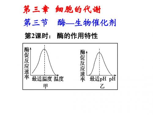 高中生物-酶的作用特性-第2课时