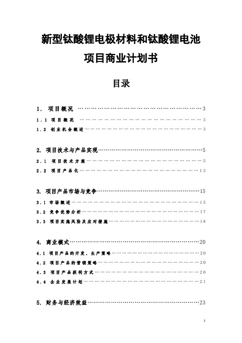 新型钛酸锂电极材料和钛酸锂电池项目商业计划书