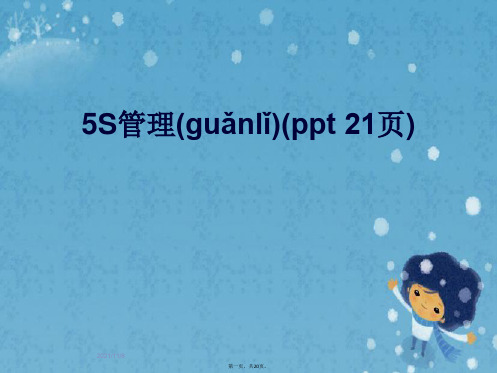 5S管理(ppt 21页)