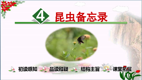 昆虫备忘录 人教部编版PPT 优秀课件