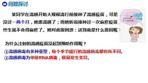 4.4免疫学的应用课件高二上学期生物人教版选择性必修1