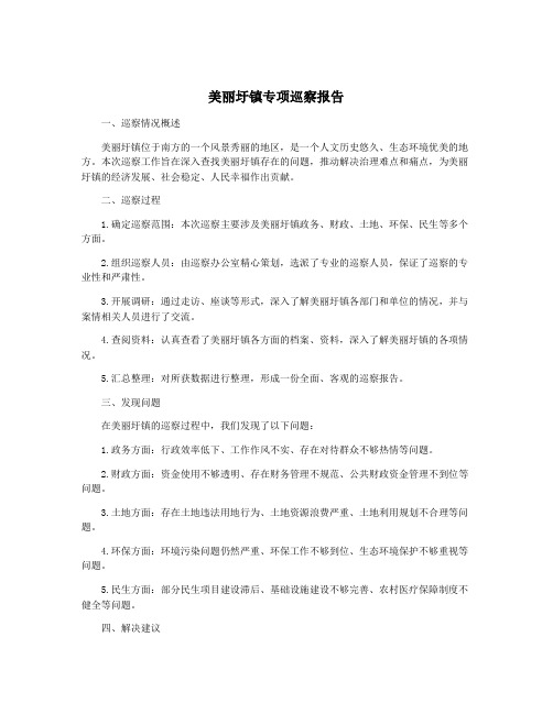 美丽圩镇专项巡察报告