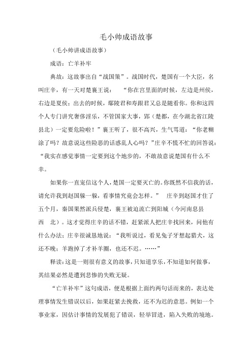 毛小帅成语故事