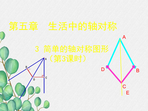 《简单的轴对称图形》PPT课件 (公开课)2022年北师大版 (7)