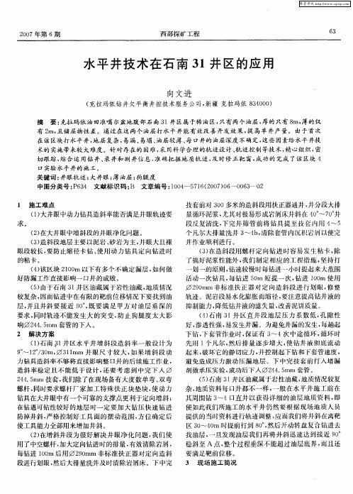 水平井技术在石南31井区的应用