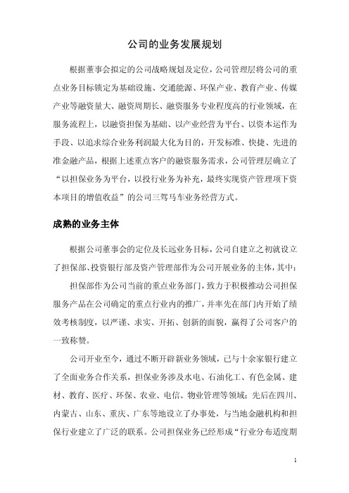 公司的业务发展规划