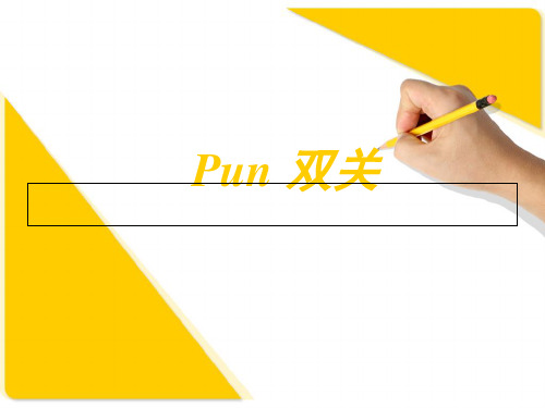 Pun-双关PPT课件