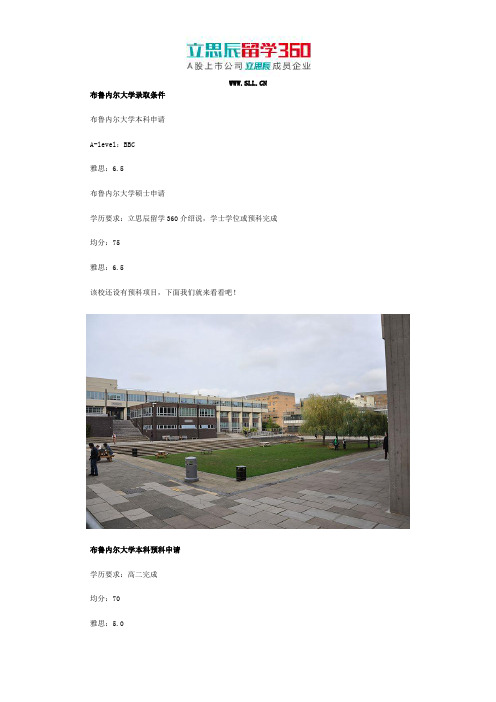 布鲁内尔大学录取条件