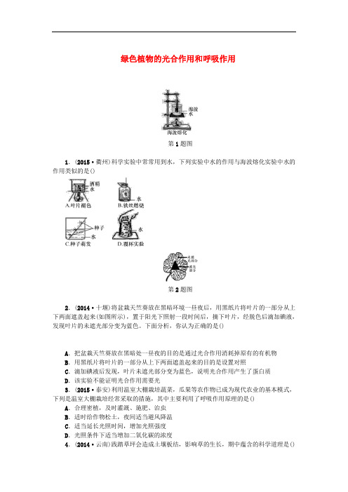 浙江省中考科学第一轮总复习 第一篇 生命科学 第5课时 绿色植物的光合作用和呼吸作用作业