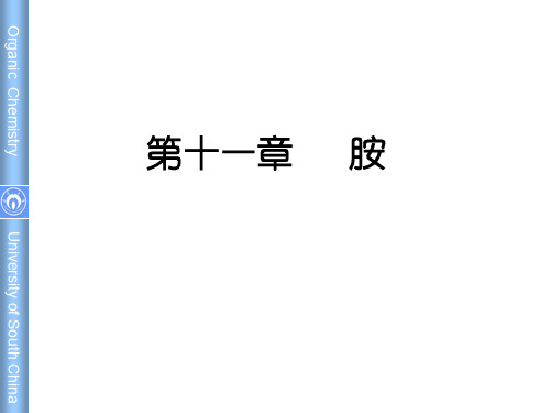 胺(ppt文档)