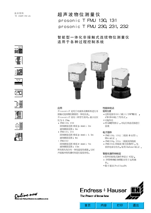 E+H FMU 231中文操作手册