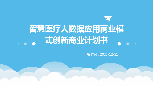 智慧医疗大数据应用商业模式创新商业计划书