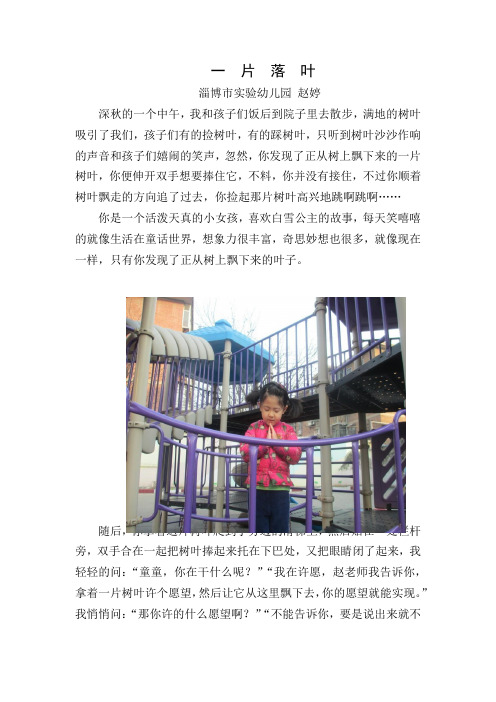 幼儿园观察记录学习故事：一片落叶