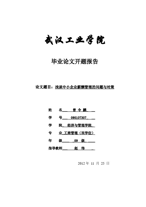 中小企业薪酬管理中的问题与对策毕业论文开题报告