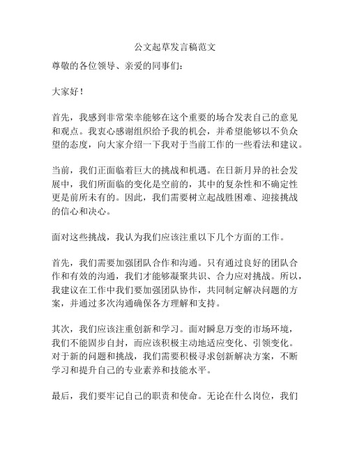 公文起草发言稿范文