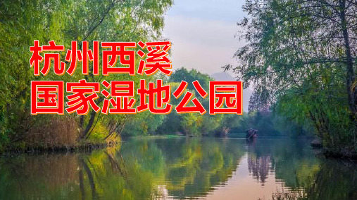 西溪湿地,一片让人心旷神怡的自然氧吧!