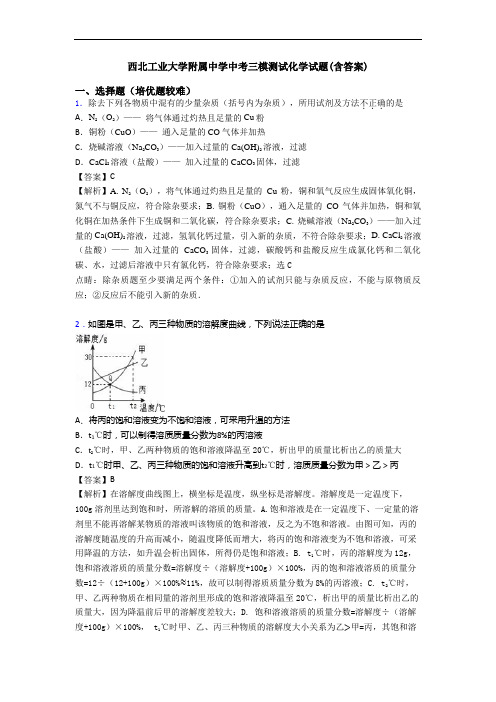 西北工业大学附属中学中考三模测试化学试题(含答案)