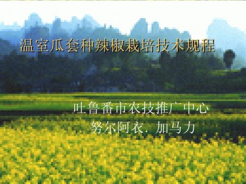 温室瓜套种辣椒栽培技术