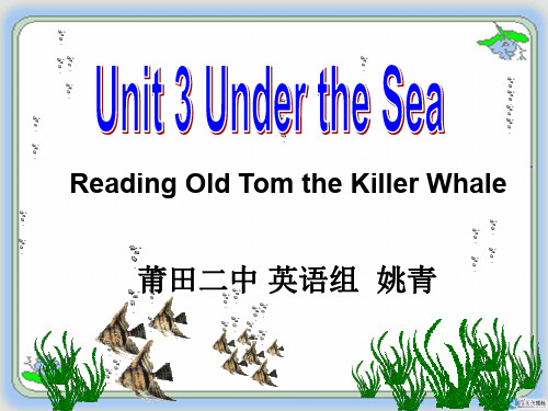 人教版高中英语选修7：Unit3 Under the Sea